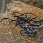Climbing Gear to Take: 7 Essential Tips to Avoid Dangerous Mistakes