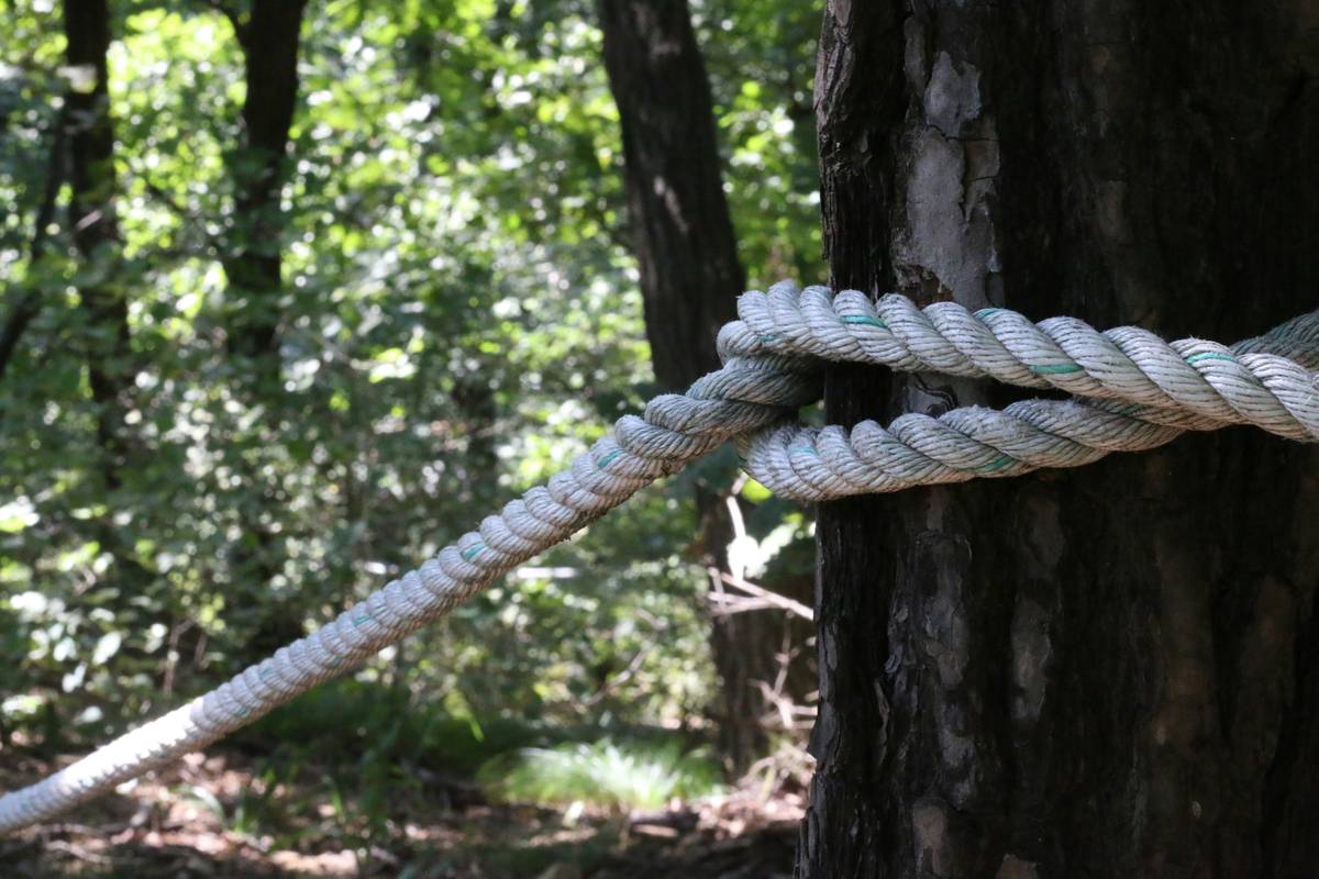 A hunter in full camouflage gear wearing a certified climbing helmet while secured to an oak trunk with tree climbing gear for hunting
