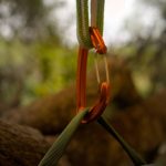 Tree Climbing Gear for Hunting: 7 Proven Tips to Avoid Dangerous Mistakes